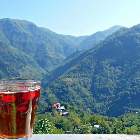 Guest House Noe Kveda Chkhutuneti Dış mekan fotoğraf