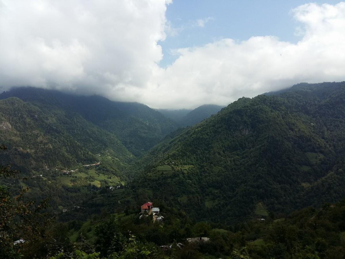 Guest House Noe Kveda Chkhutuneti Dış mekan fotoğraf
