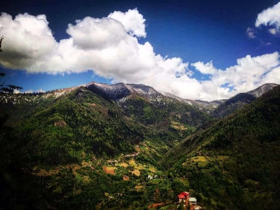 Guest House Noe Kveda Chkhutuneti Dış mekan fotoğraf
